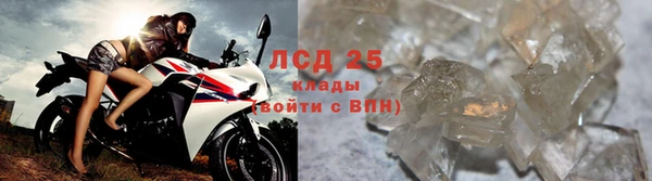 эйфоретик Михайлов